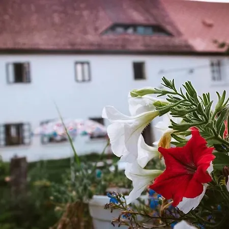 Enjoy Cozy Home Hills & Forest & Views & Gardens & Sauna Whirlpool Bath Jablonné v Podještědí Exterior foto