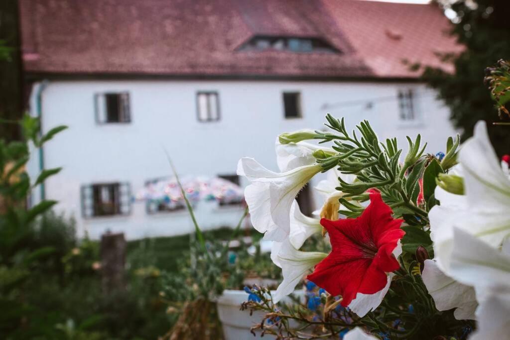 Apartment Enjoy Cozy Hills & Forest & Views & Gardens & Sauna Whirlpool Bath Jablonné v Podještědí