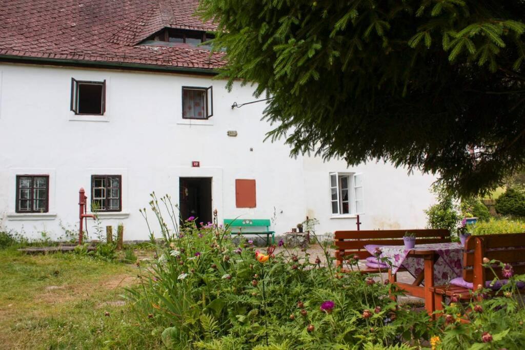 Enjoy Cozy Hills & Forest & Views & Gardens & Sauna Whirlpool Bath Apartment