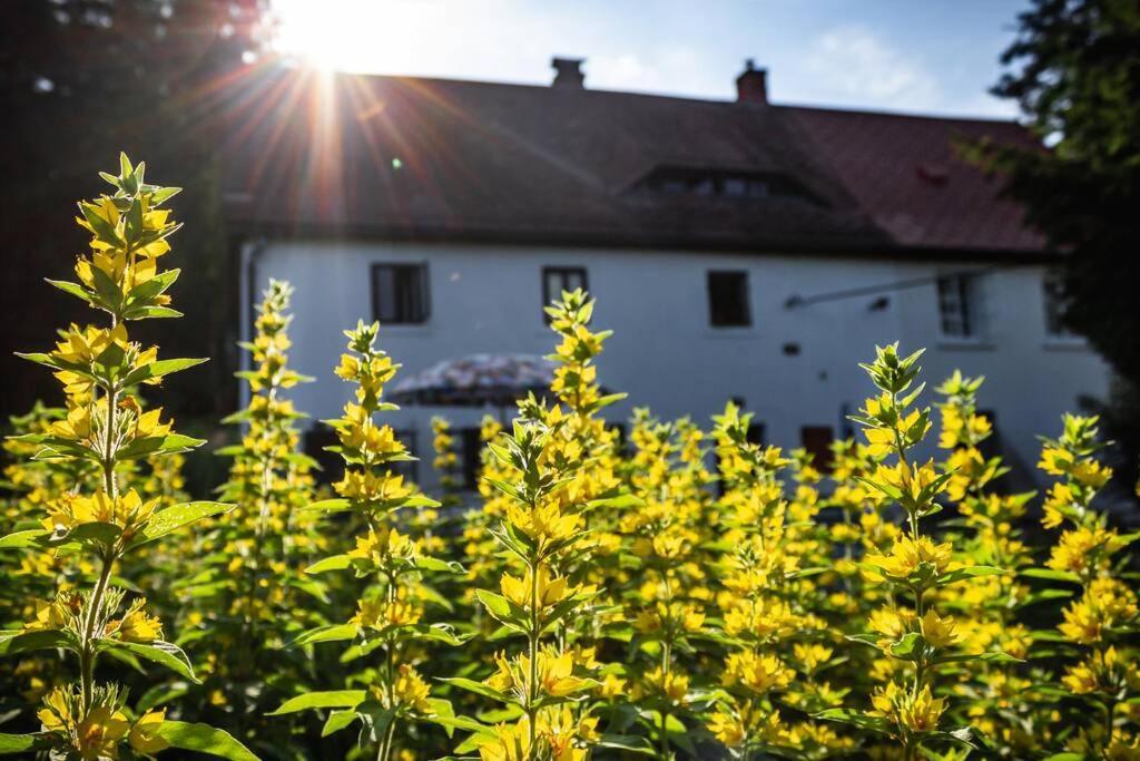Enjoy Cozy Hills & Forest & Views & Gardens & Sauna Whirlpool Bath Apartment