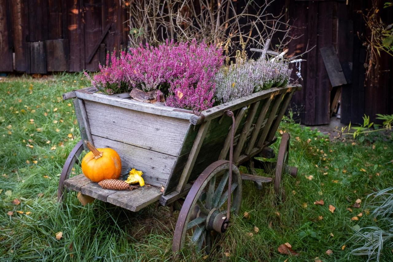Enjoy Cozy Hills & Forest & Views & Gardens & Sauna Whirlpool Bath
